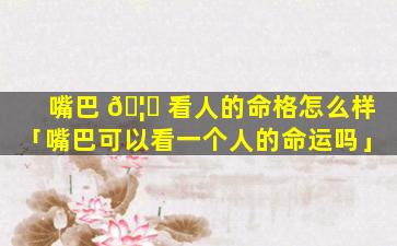 嘴巴 🦋 看人的命格怎么样「嘴巴可以看一个人的命运吗」